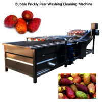 Automatic bubble cactus fruit  cleaning machine cactus fruit washing machine prickly pear cleaning machine