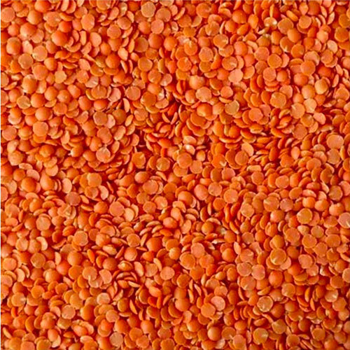 Red Lentil By LOYALTY TRADES