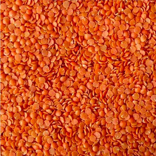 Red Lentil