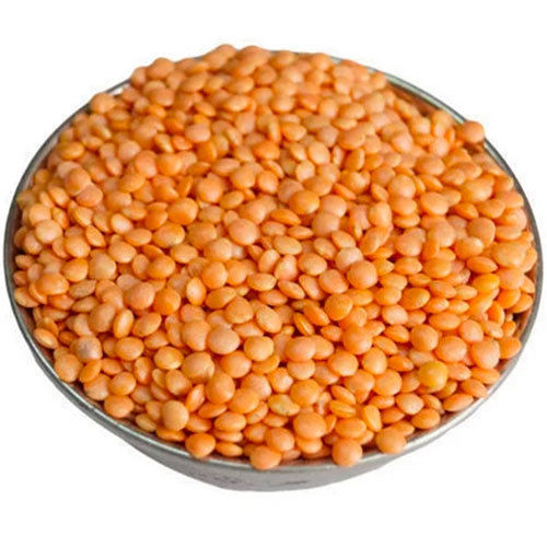 Red Whole Lentil