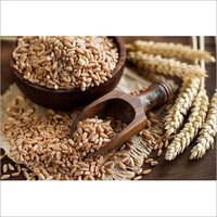 Grains 
