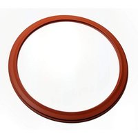 Autoclave Gaskets