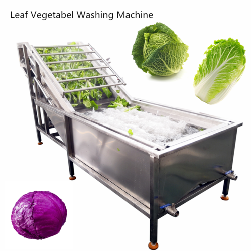 Bubble Type Ozone Vegetable Washing Machine Cabbaga Cleaning Machine