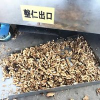 Industrial walnut shelling machine walnut peeling machine