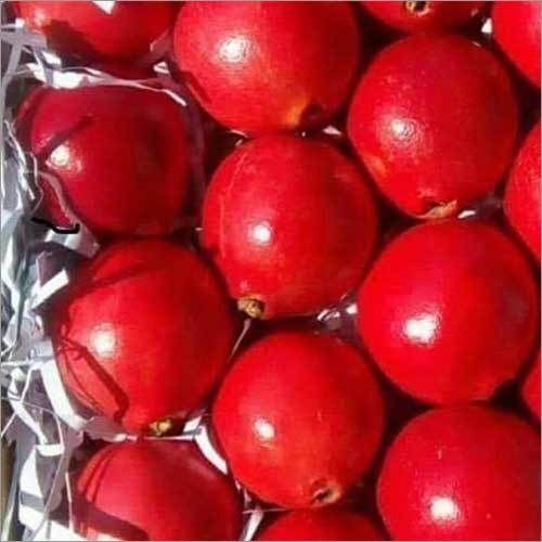 Bhagva Pomegranate