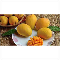 Fresh Mango