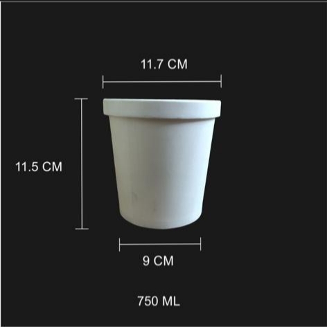 PAPER CONTAINER 750 ML