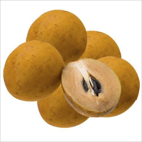 Common Fresh Sapodilla