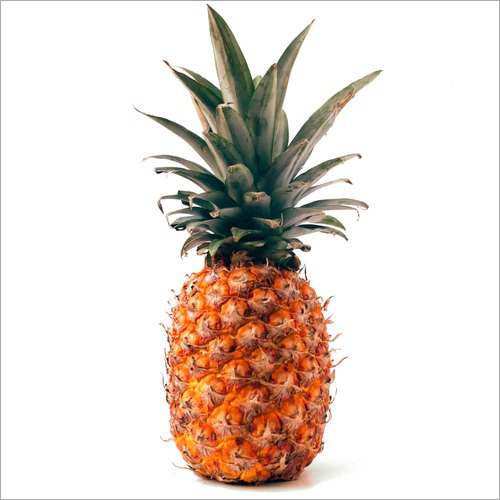 Common Fresh Pineapple