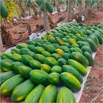 Organic Fresh Papaya