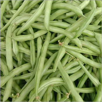 Seasoned Fresh Green Beans