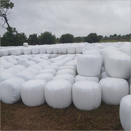 Feed Grade Corn Silage Bale