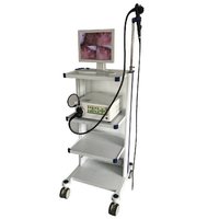 Video Endoscope