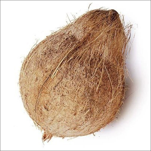 Semihusked Coconut