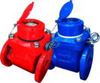 Pulse Digital Ouput Class B Water Meter