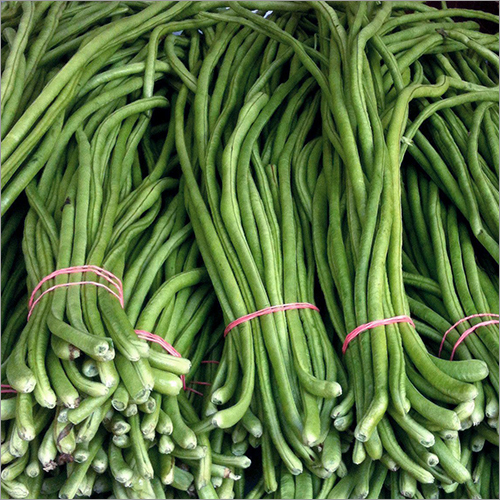 Long Beans By GREAT JANARDAN EXPORT IMPORT PRIVATE LIMITED