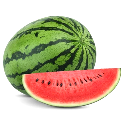 Common Fresh Watermelon