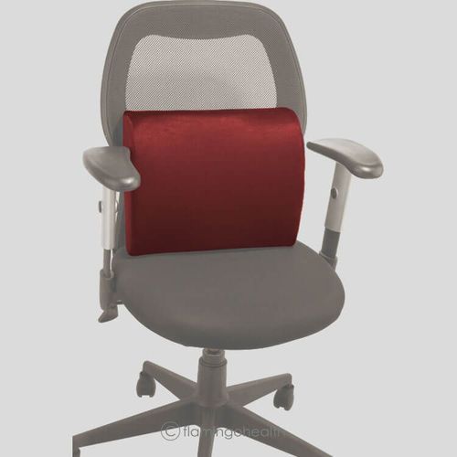 ConXport Back Rest Small