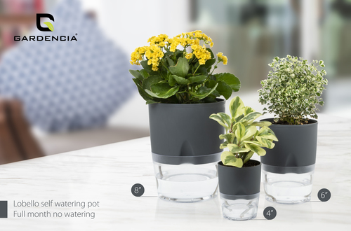 Lobello self watering pots