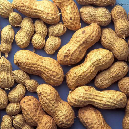 Shelled Groundnuts Grade: A