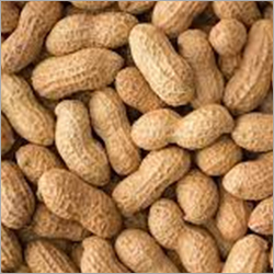 Raw Shelled Groundnuts Grade: A