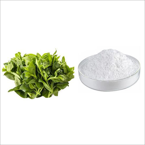 Andrographolide Powder