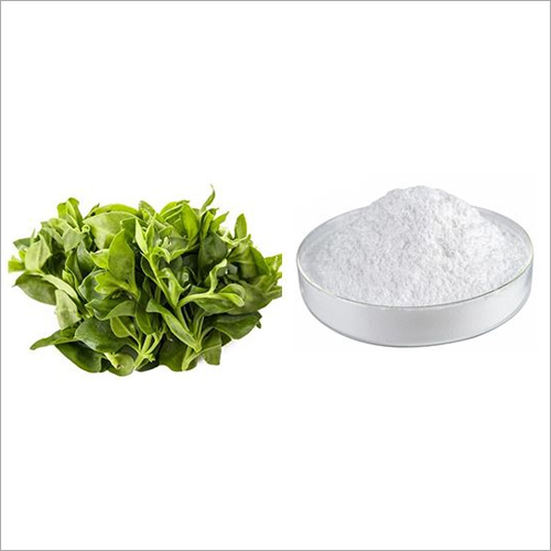 Andrographolide Powder Andrographolide Powder
