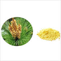 Pine Pollen Powder