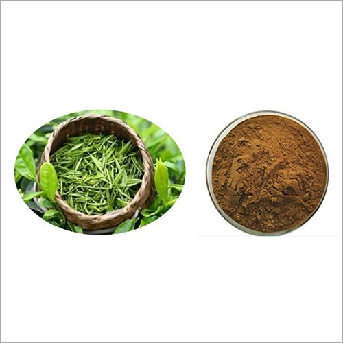 Tea Polyphenol By XI`AN GAOYUAN BIO-CHEM CO. LTD.