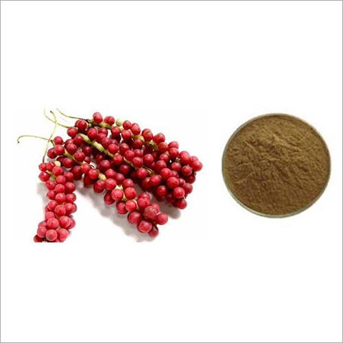 Schisandrin B Powder Schisandrin B Powder