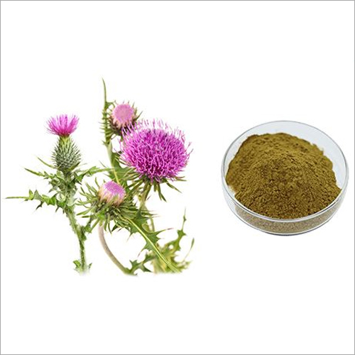 Silymarin Powder