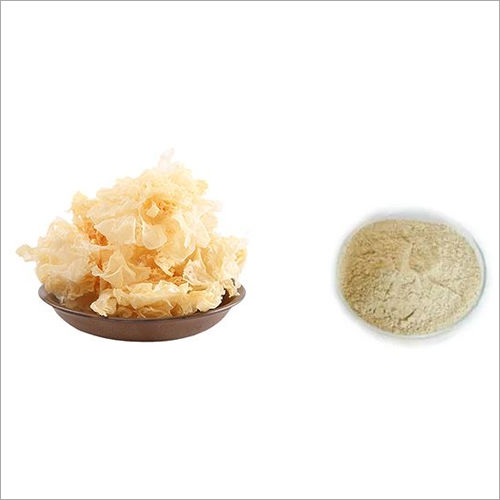 Tremella Extract