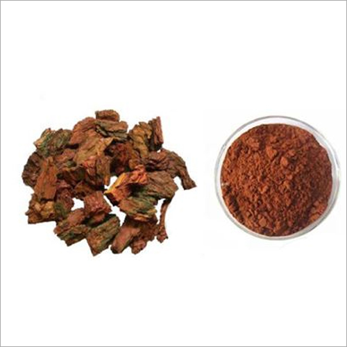 Salvia Miltiorrhiza Extract