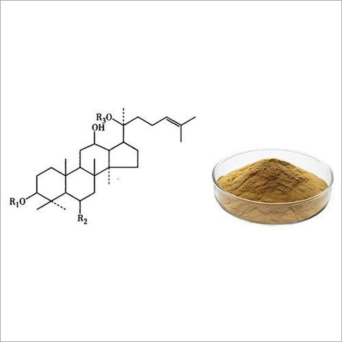 Panax Notoginseng Extract Powder