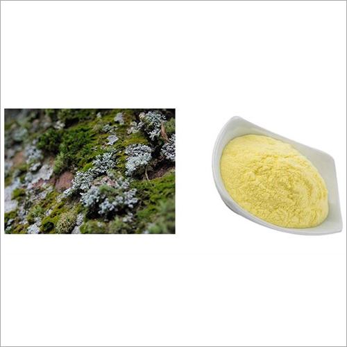 Lichen Extract By XI`AN GAOYUAN BIO-CHEM CO. LTD.