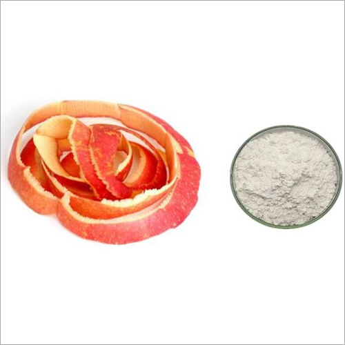 Phloretin Powder