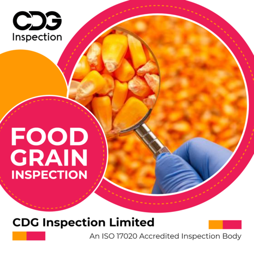Food Grain Inspection In Jalandhar