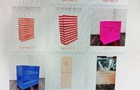 Paper Handle  Bag