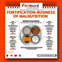 Fortification Plant Setup