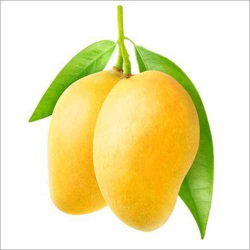 Fresh Mango