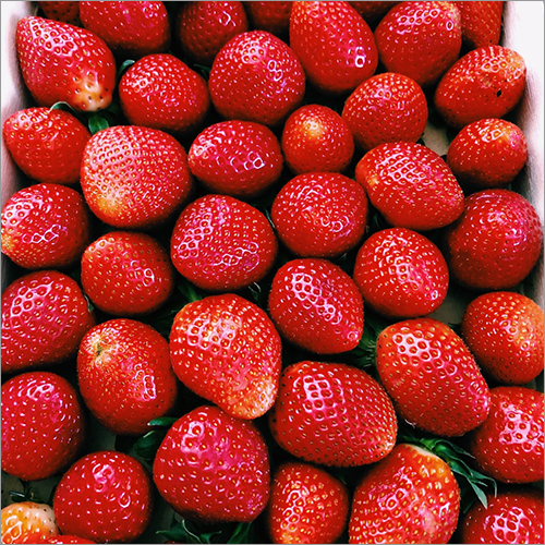 Fresh Strawberry