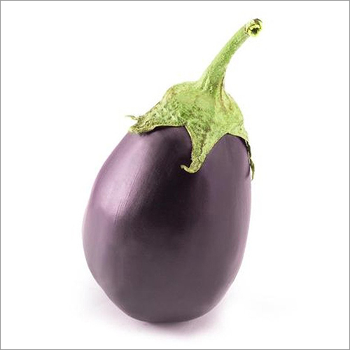 Fresh Brinjal