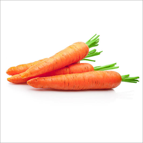 Fresh Carrot