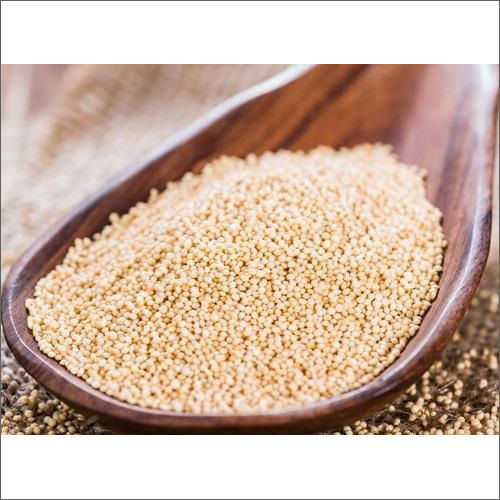 Organic Amaranth Seeds