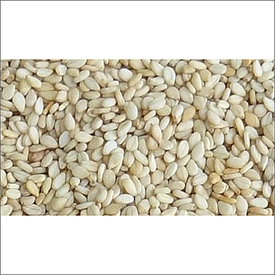 Natural Sesame Seeds By SMBHAV IMPEX