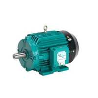 Crompton Greaves IE3 Motor