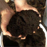 Organic Vermicompost