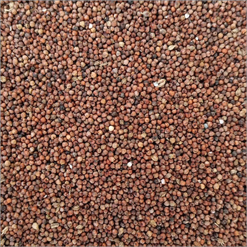 Organic Ragi Millets