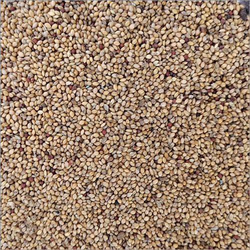 Saamai Millets