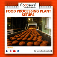 Food Processing Consultant